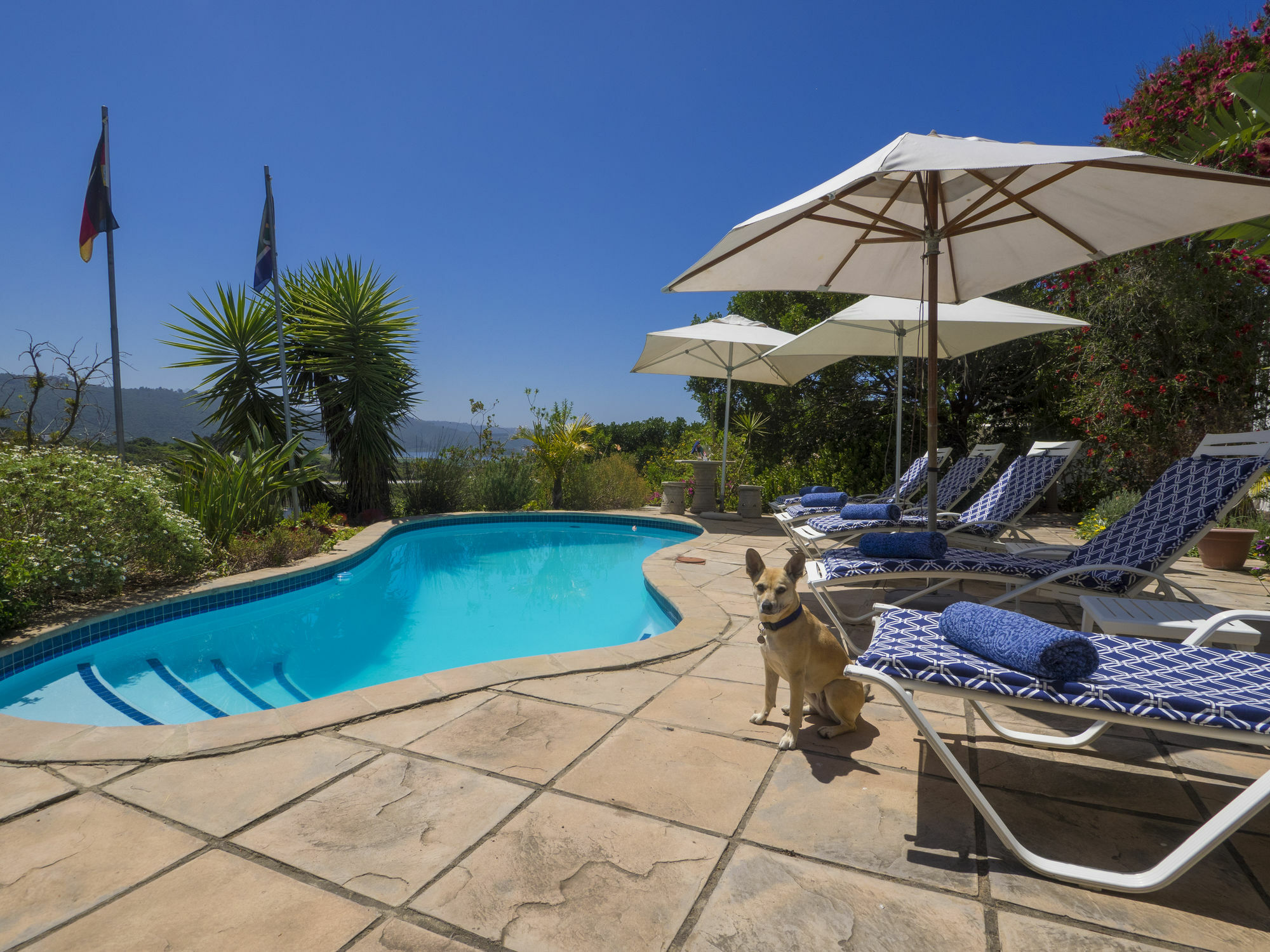 Shining Waters Guest House Wilderness Exteriér fotografie